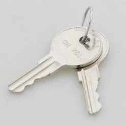 National Cycle CruiseLiner Replacement Key